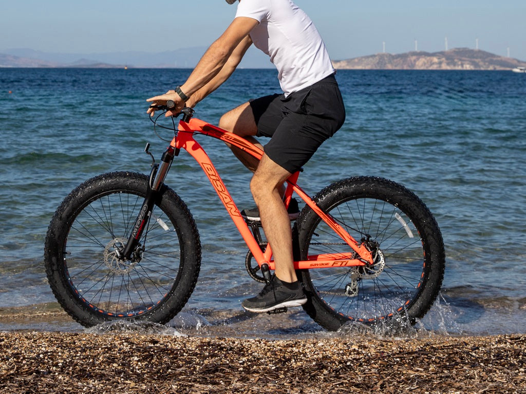 Fat Bike