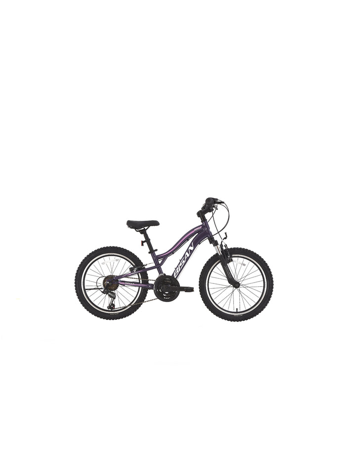 Gazelle V Bisan Çocuk Bisikleti 3x6 Vites