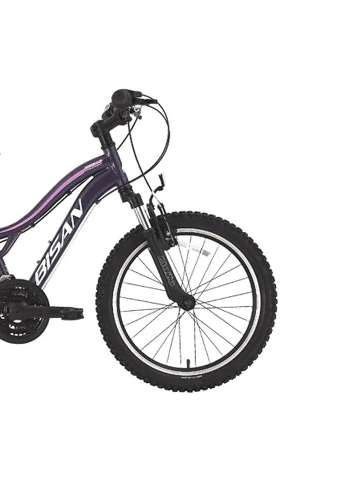 Gazelle V Bisan Çocuk Bisikleti 3x6 Vites