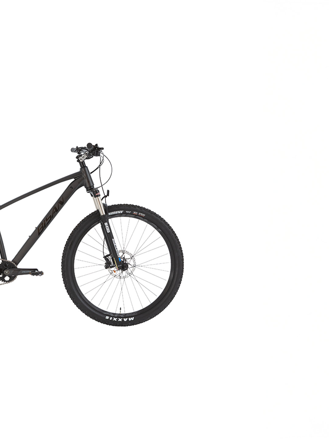 mountainbike nur 12 gänge BOLD 12.1 BISAN MOUNTAINBIKE 1X12 GANG - SCHWARZ GRAU / 17" / 29"
