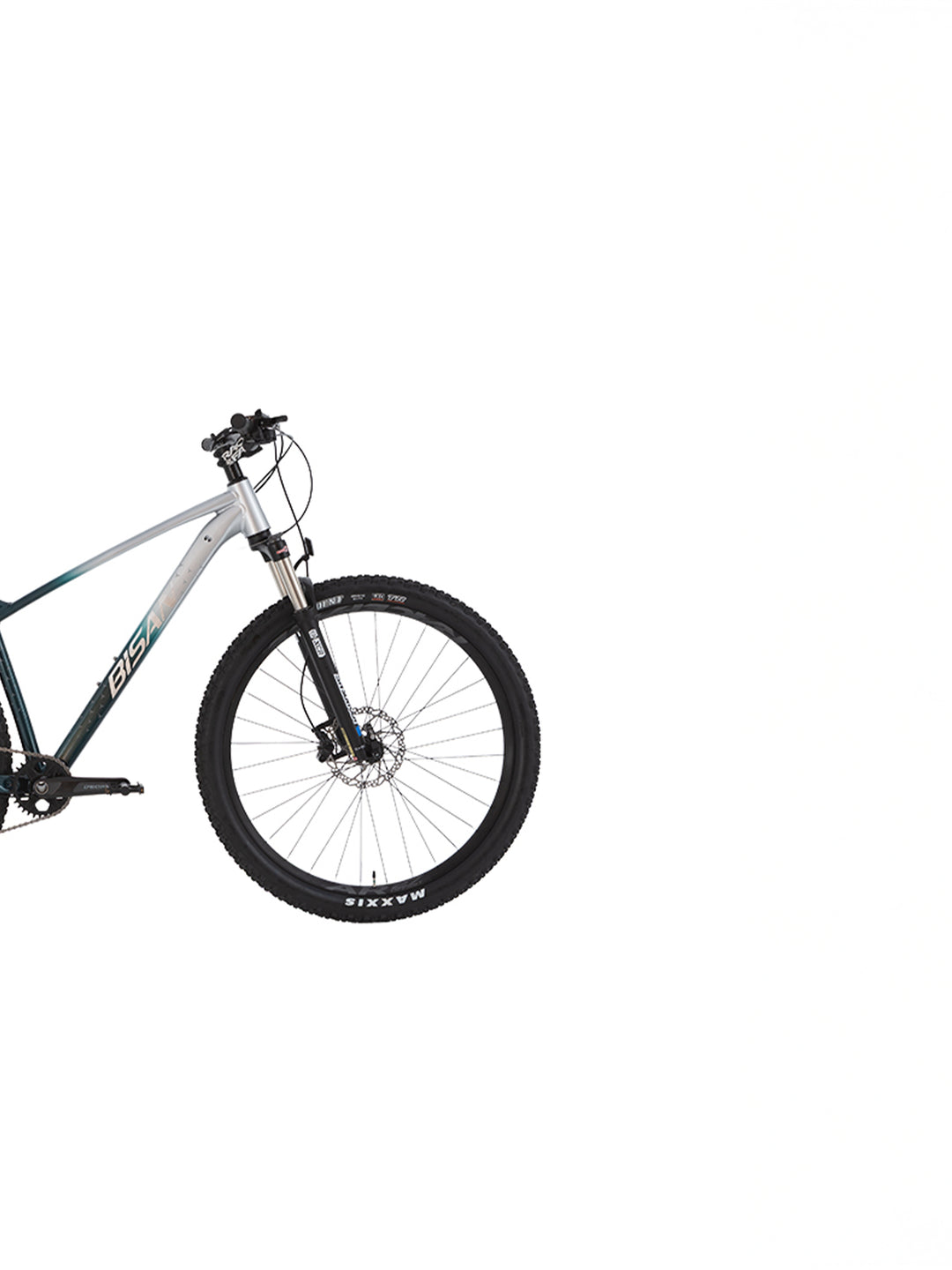 mountainbike nur 12 gänge BOLD 12.1 BISAN MOUNTAINBIKE 1X12 GÄNGE - GRAU/DUNKELGRÜN / 19"/29"
