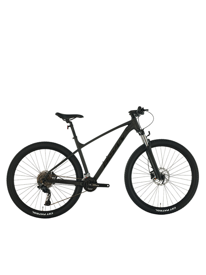 BOLD 10.2 BİSAN DAĞ BİSİKLETİ 2X10 VİTES